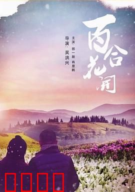 《百合花开》：花开无声，爱意正浓