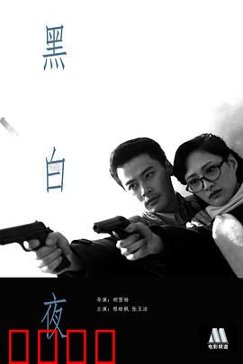 黑白夜：暗夜迷踪
