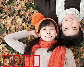 合居情缘：浪漫合租记