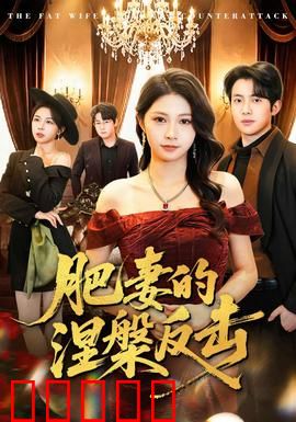 肥妻的涅槃反击：逆袭之路